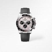 Daytona Meteorite