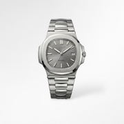Nautilus Grey