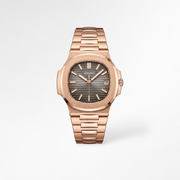 Nautilus Rose Gold Brown