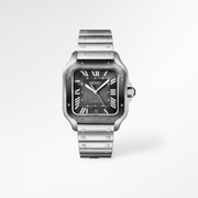 Santos Metallic