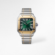 Santos Two-Tone Green